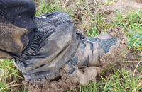 Les pieds boueux Les pieds boueux